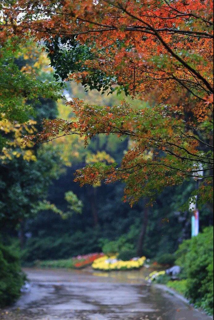 ÿ�η�Ƣ��ǰ������������ľ������ʱ��