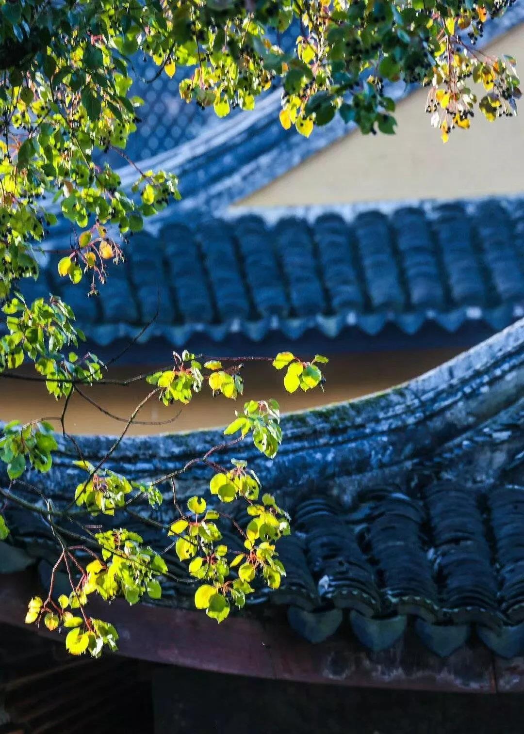 ÿ�η�Ƣ��ǰ������������ľ������ʱ��