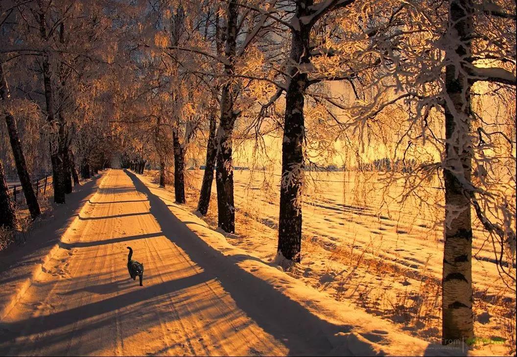 ÿ�η�Ƣ��ǰ������������ľ������ʱ��