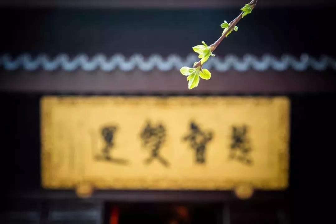 ��Ϊ���������������ܱ�ҵ��������