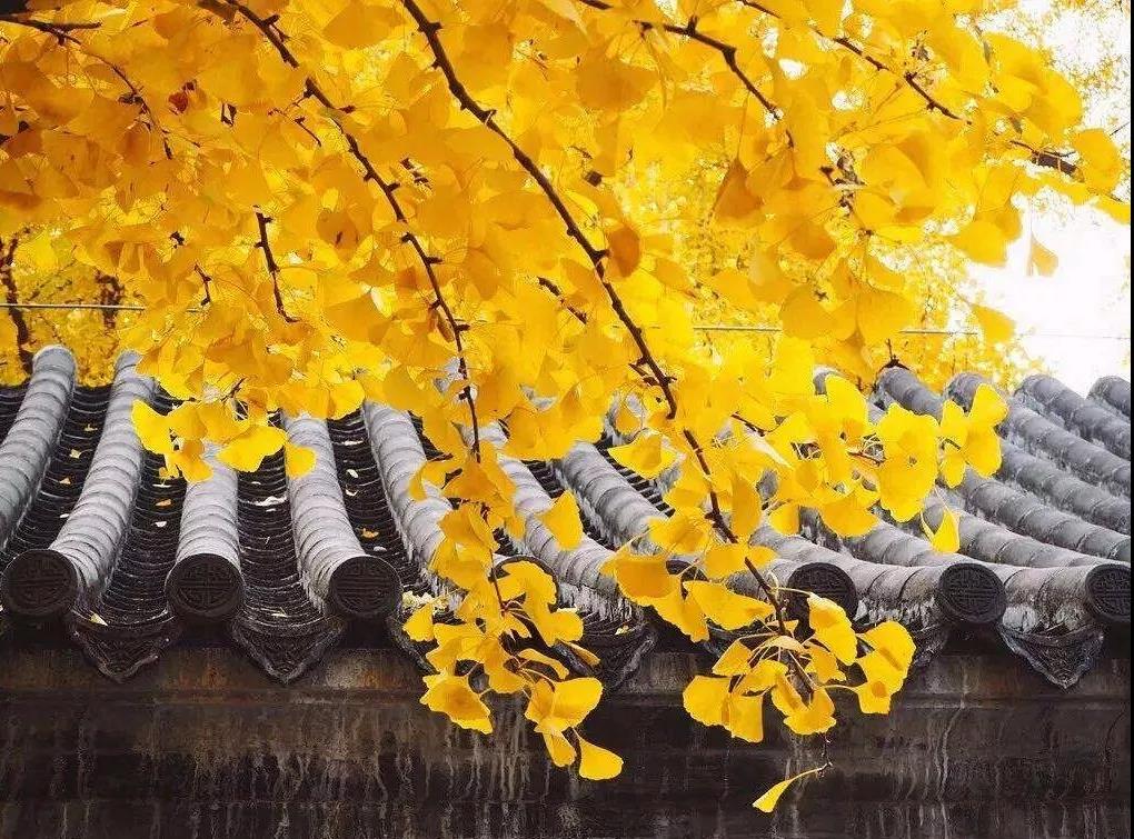 ��Ϊ���������������ܱ�ҵ��������