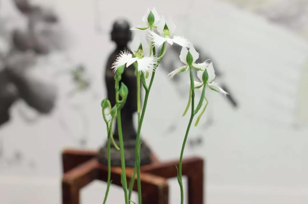 ��Ϊ���������������ܱ�ҵ��������