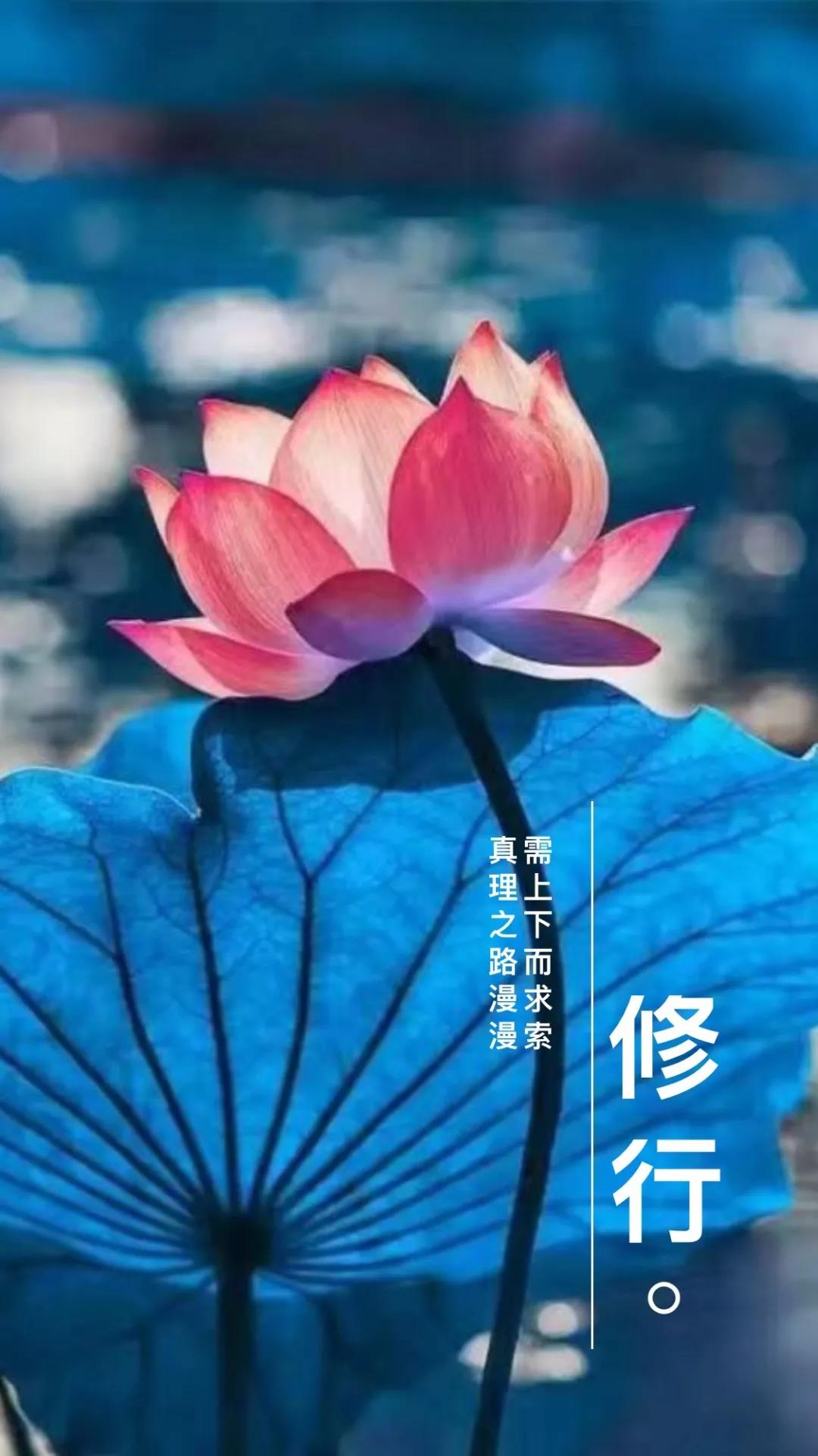 �����м��жϣ����ǲ�����е��ж��ϡ�ΥԵ�ϰ���