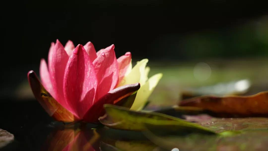 �����м��жϣ����ǲ�����е��ж��ϡ�ΥԵ�ϰ���