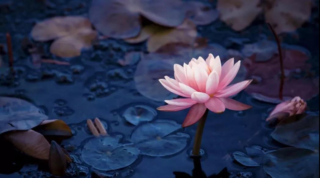 �����м��жϣ����ǲ�����е��ж��ϡ�ΥԵ�ϰ���