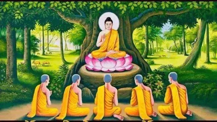 ΪʲôҪ˵���£�������6����Ƭ�����֪��ԭ����