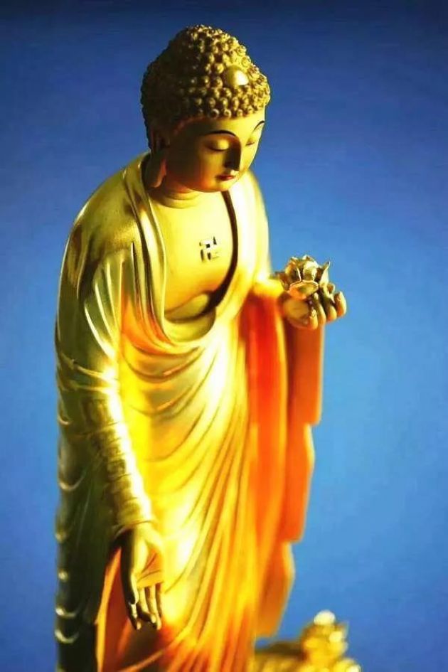 ��ʦ�����������Ϊʲôû���κθ�Ӧ��