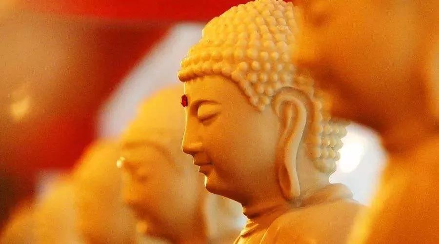 ��ʦ�����������Ϊʲôû���κθ�Ӧ��