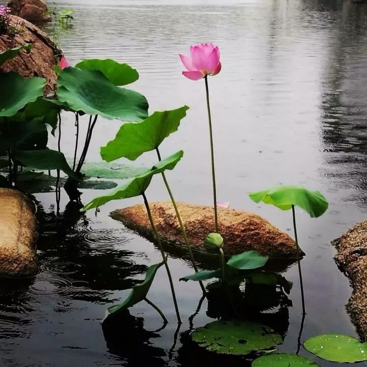 �������¹���ͷ�������˼��ʱ��