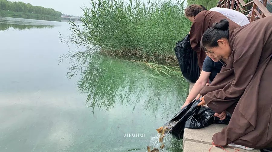 积福慧启建己亥年第十四期放生法会! 积福慧启建己亥年第十四期放生法会!