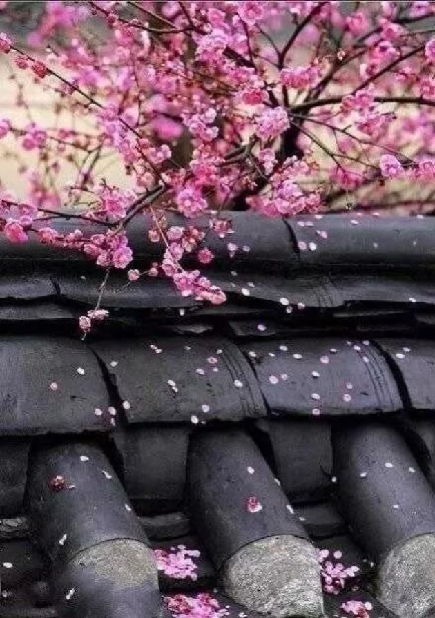 做到这些,就不会有生死挣扎的痛苦 做到这些,就不会有生死挣扎的痛苦