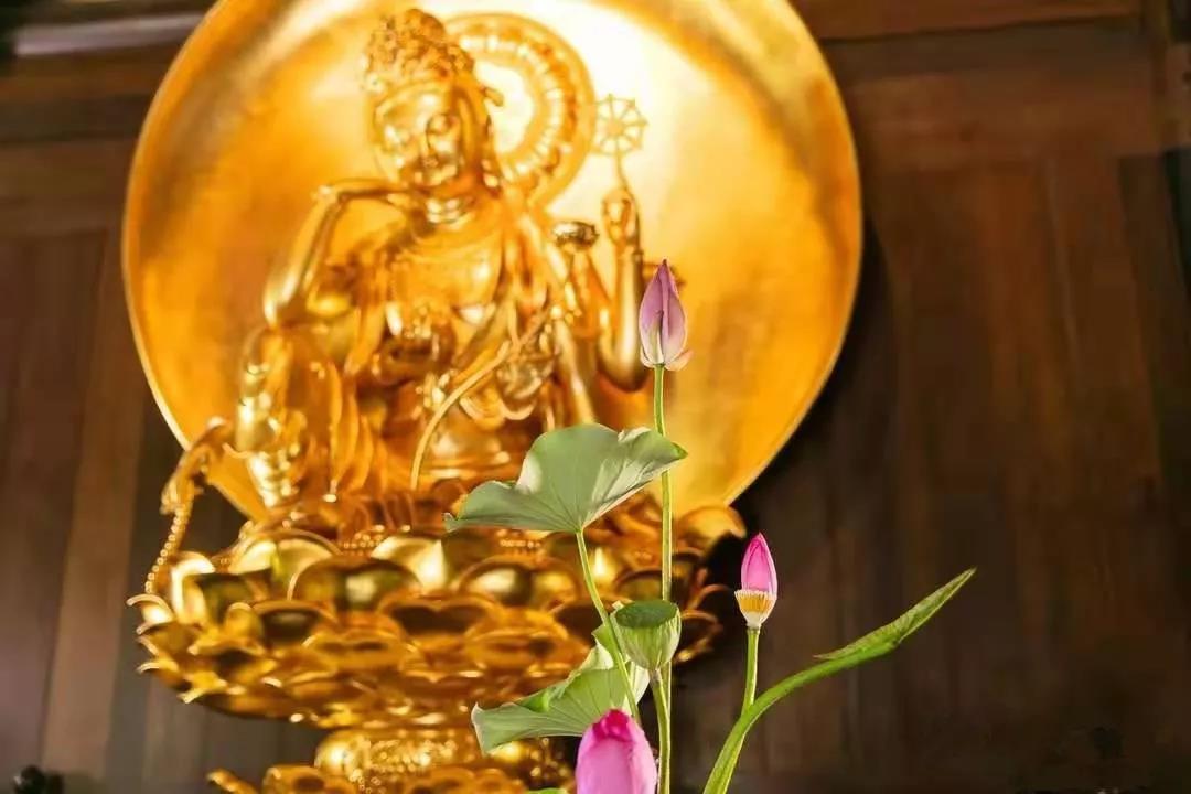 ������ҽ���Ĳ����Σ����ž���ġ���ҩ�����޲�����