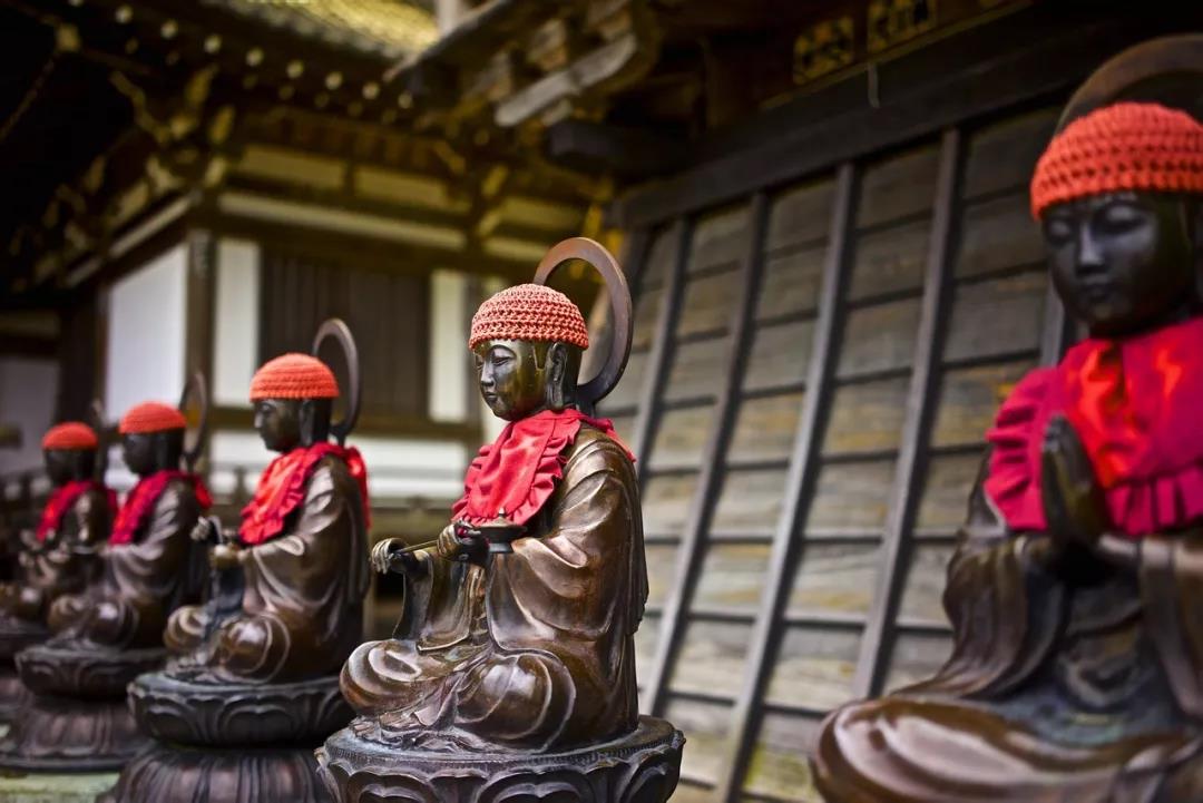 ������ҽ���Ĳ����Σ����ž���ġ���ҩ�����޲�����