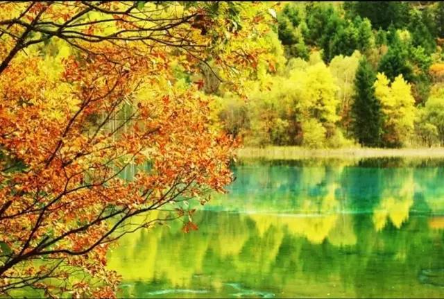 ��ʦ���ؼ���_�ⲿ���������ʦ���ķ𾭣������û��