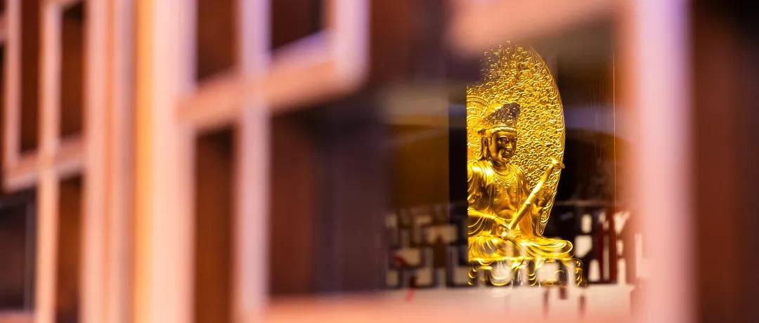 �ĵ������������£��ǲ��ǾͲ���ѧ���ˣ�