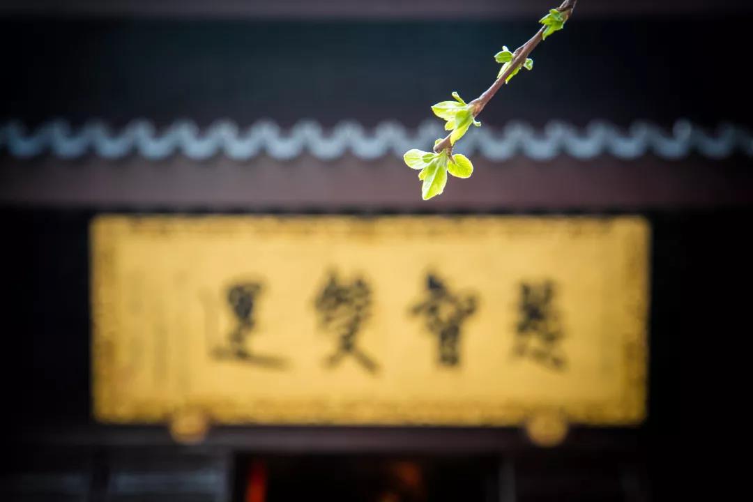 �ĵ������������£��ǲ��ǾͲ���ѧ���ˣ�