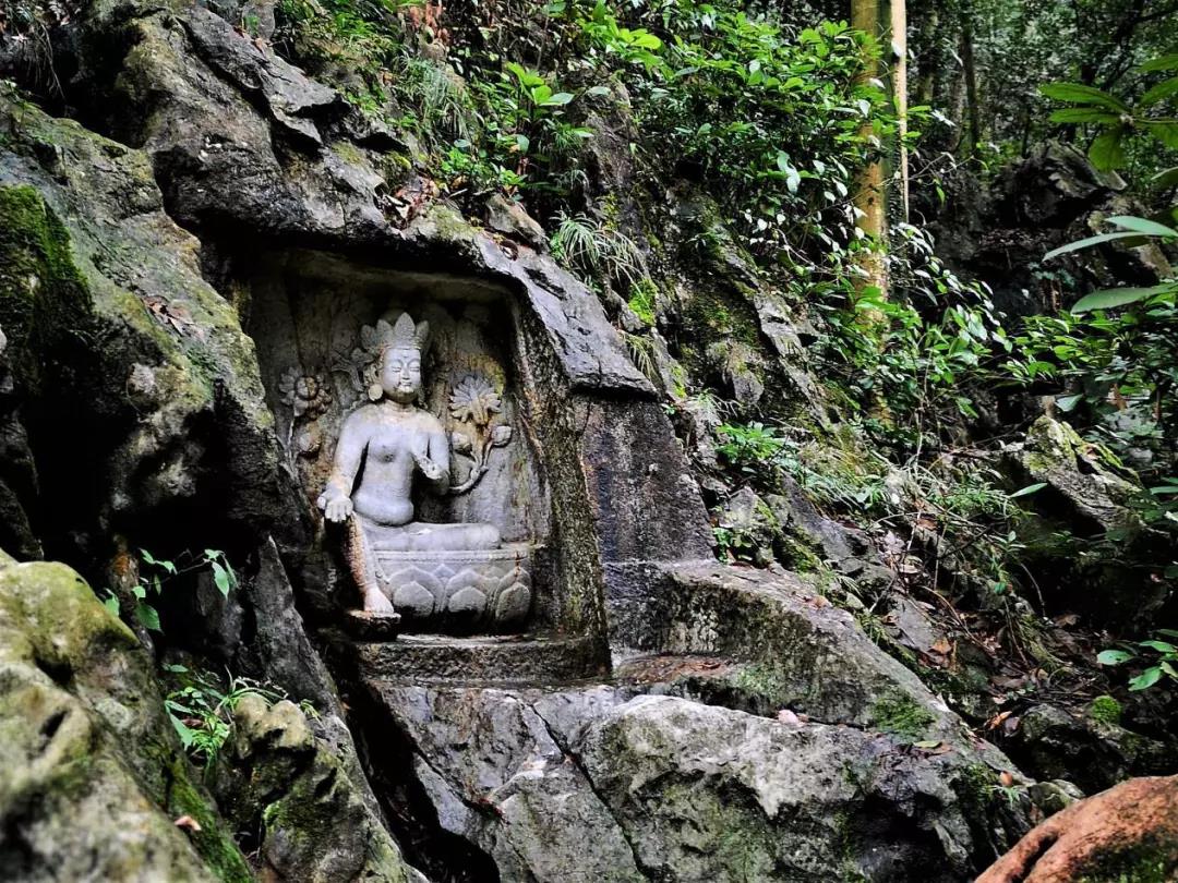 信佛和学佛,究竟有什么区别? 信佛和学佛,究竟有什么区别?