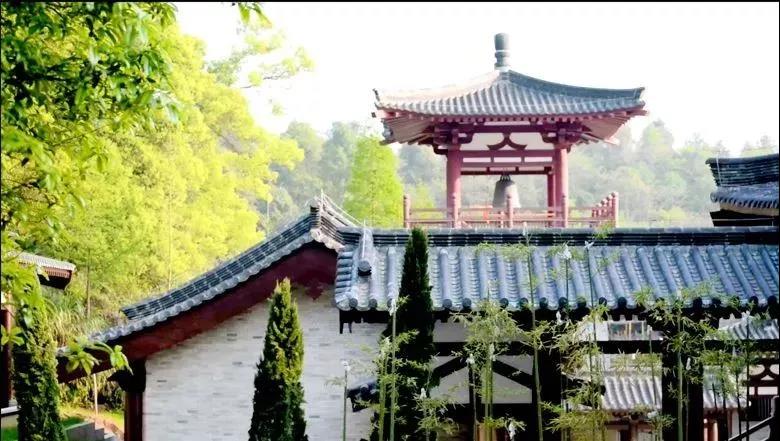 信佛和学佛,究竟有什么区别? 信佛和学佛,究竟有什么区别?