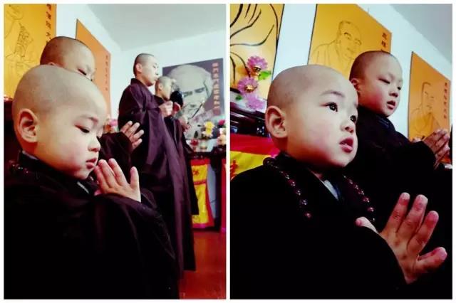 赞叹!这个2岁小孩流利念佛,其善根深厚,连大人都自愧不如!! 赞叹!这个2岁小孩流利念佛,其善根深厚,连大人都自愧不如!!