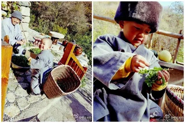 赞叹!这个2岁小孩流利念佛,其善根深厚,连大人都自愧不如!! 赞叹!这个2岁小孩流利念佛,其善根深厚,连大人都自愧不如!!