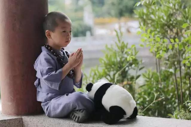 赞叹!这个2岁小孩流利念佛,其善根深厚,连大人都自愧不如!! 赞叹!这个2岁小孩流利念佛,其善根深厚,连大人都自愧不如!!