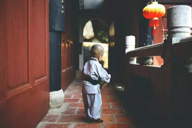 赞叹!这个2岁小孩流利念佛,其善根深厚,连大人都自愧不如!! 赞叹!这个2岁小孩流利念佛,其善根深厚,连大人都自愧不如!!