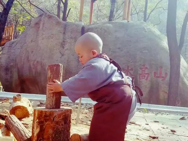 赞叹!这个2岁小孩流利念佛,其善根深厚,连大人都自愧不如!! 赞叹!这个2岁小孩流利念佛,其善根深厚,连大人都自愧不如!!