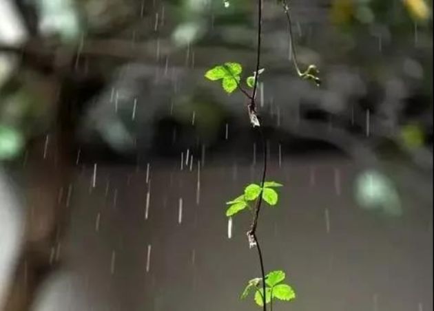 һλ�����˶������Ϭ������Ļش�̫�ǻ��ˣ�