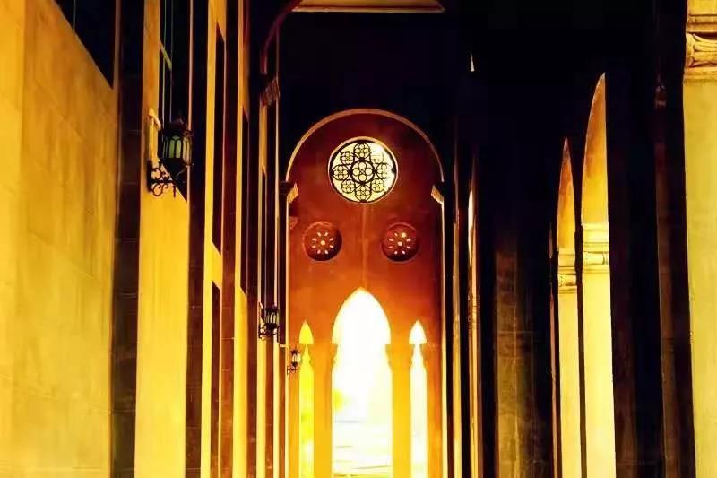 ����ȥ������������𣿡�����������