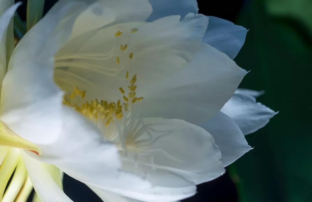 ����е�ʮ�󾭵���������_���������ղأ�