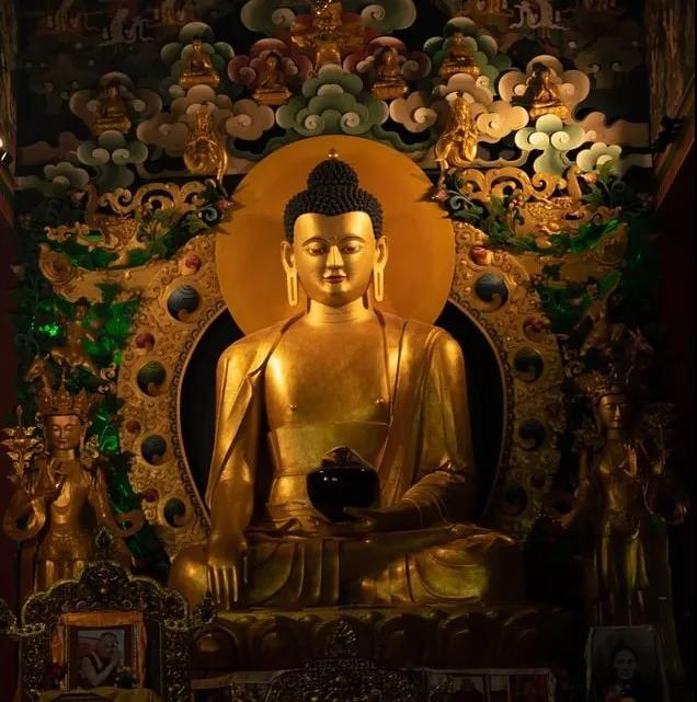 �����������������������������ĸ���