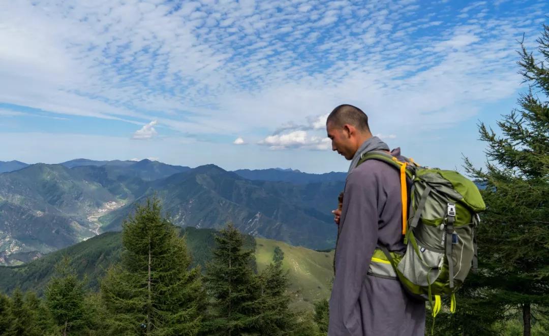 忍并非懦弱、退缩的压抑,忍是内心的智慧 忍并非懦弱、退缩的压抑,忍是内心的智慧