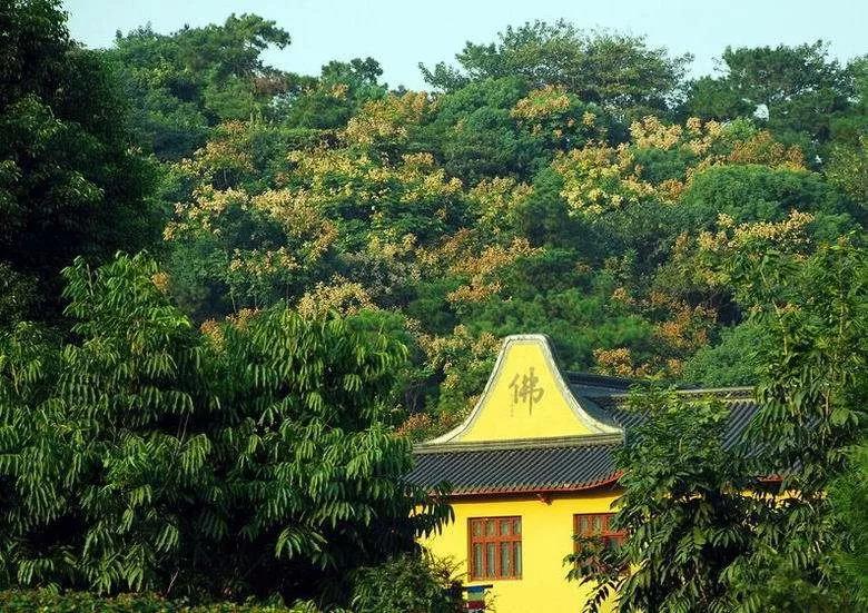 ���ڶ����_��������ʲô������ʲô��