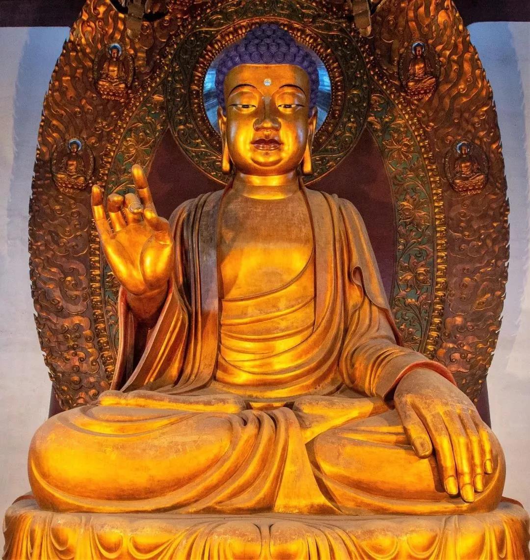 大安法师:念佛法门的宗旨是信愿行 大安法师:念佛法门的宗旨是信愿行