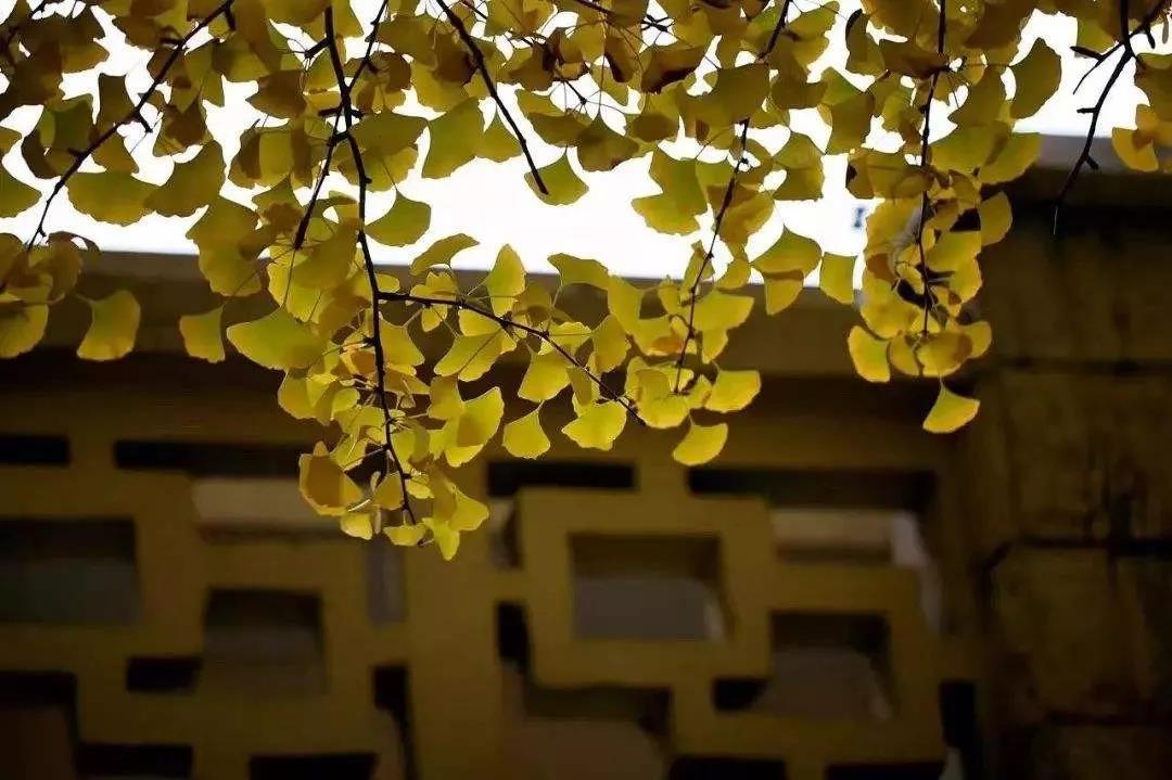 参禅何须山水地,灭却心头火自凉 参禅何须山水地,灭却心头火自凉