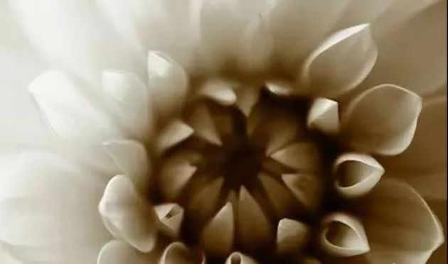 清华大学物理学博士:人生在世,不去了解佛教是一件憾事! 清华大学物理学博士:人生在世,不去了解佛教是一件憾事!