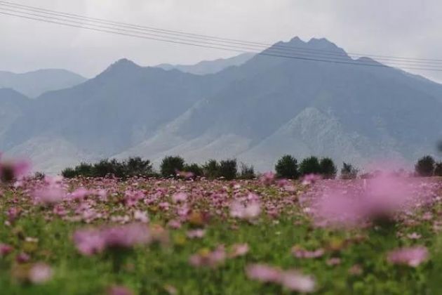 开悟是怎样的一种境界?灵光独耀,迥脱根尘…… 开悟是怎样的一种境界?灵光独耀,迥脱根尘……