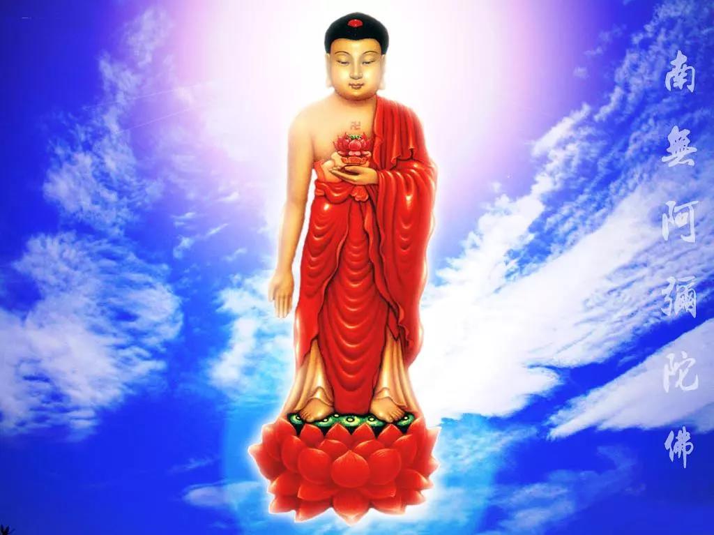 想往生就要把自己的后路切断! 想往生就要把自己的后路切断!