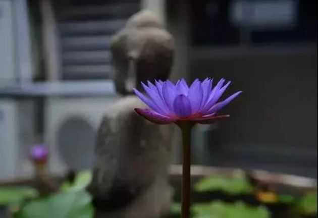 ѧ��֮��������������е��ƶ�ì�ܣ�