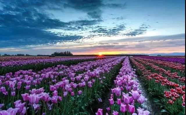 ѧ��֮��������������е��ƶ�ì�ܣ�