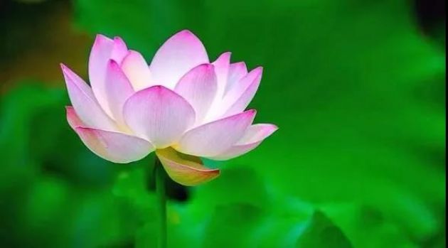 ���������ӵĹ��£����ܰ�����ִ��ס