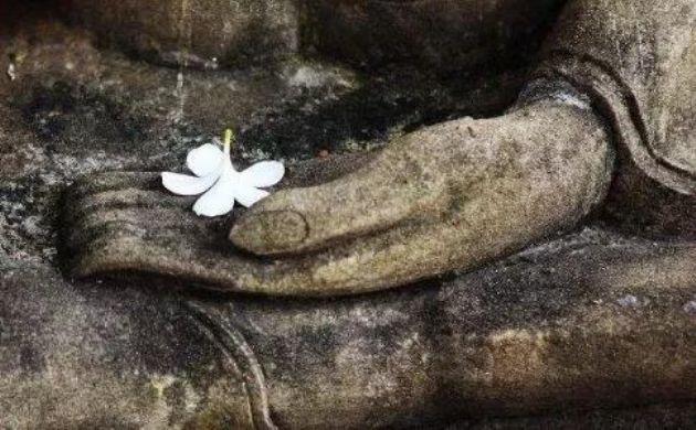 �����������������������һ��