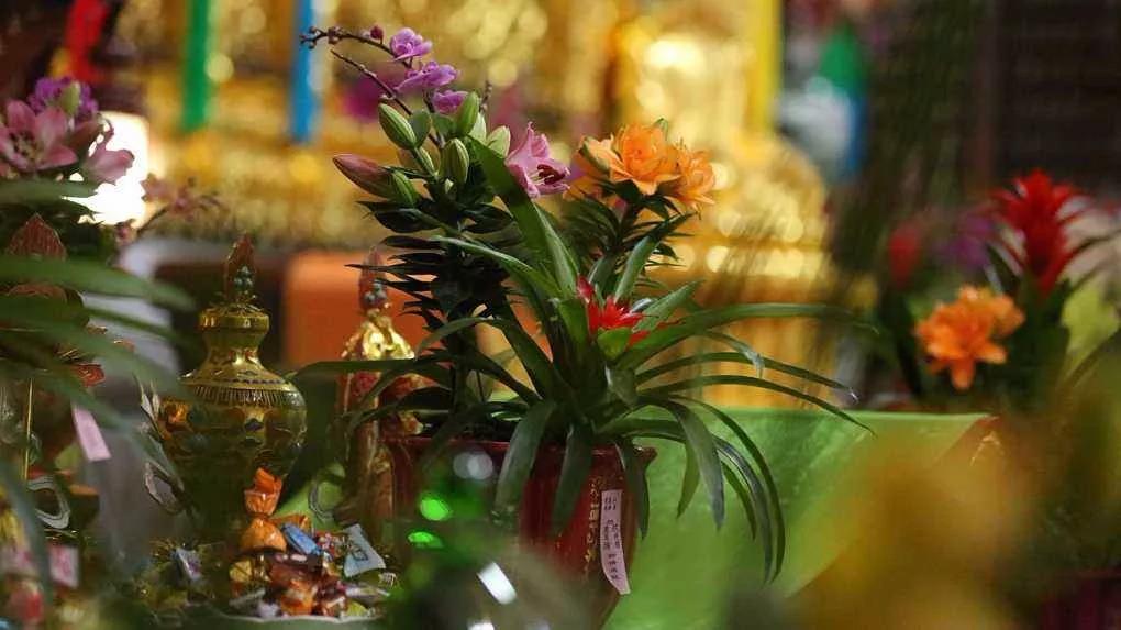 һ��������Ϊʲô�ò������ã���������������