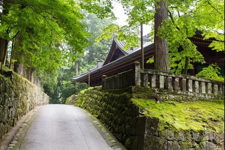 Ϊ����������������