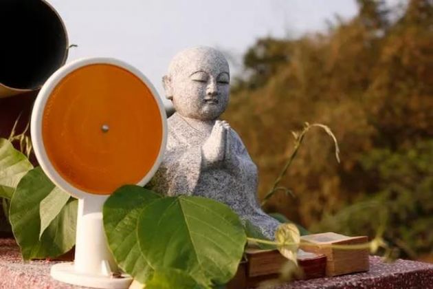 Ϊ����������������