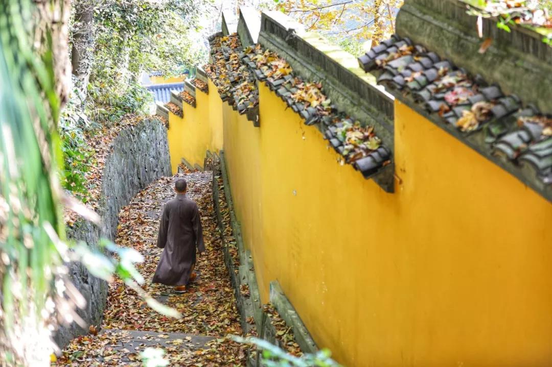 ��������ӷ������������...