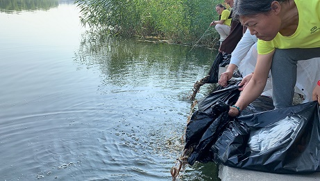 �����������������ʮ���ڷ������ᣡ����Բ����