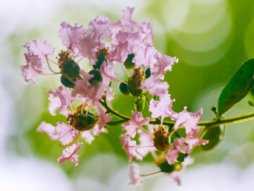 �����һ��Ҫӵ���⼸�����ݳ�Ʒ��������ô��