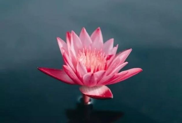 ѧ�������Щ��֪��˵�����߶���·��