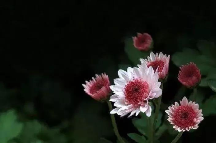 ���á��Ƿǡ���ס��